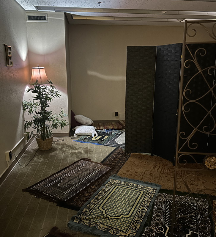 Dimmed room with plant, prayer and yoga mats, and a room divider