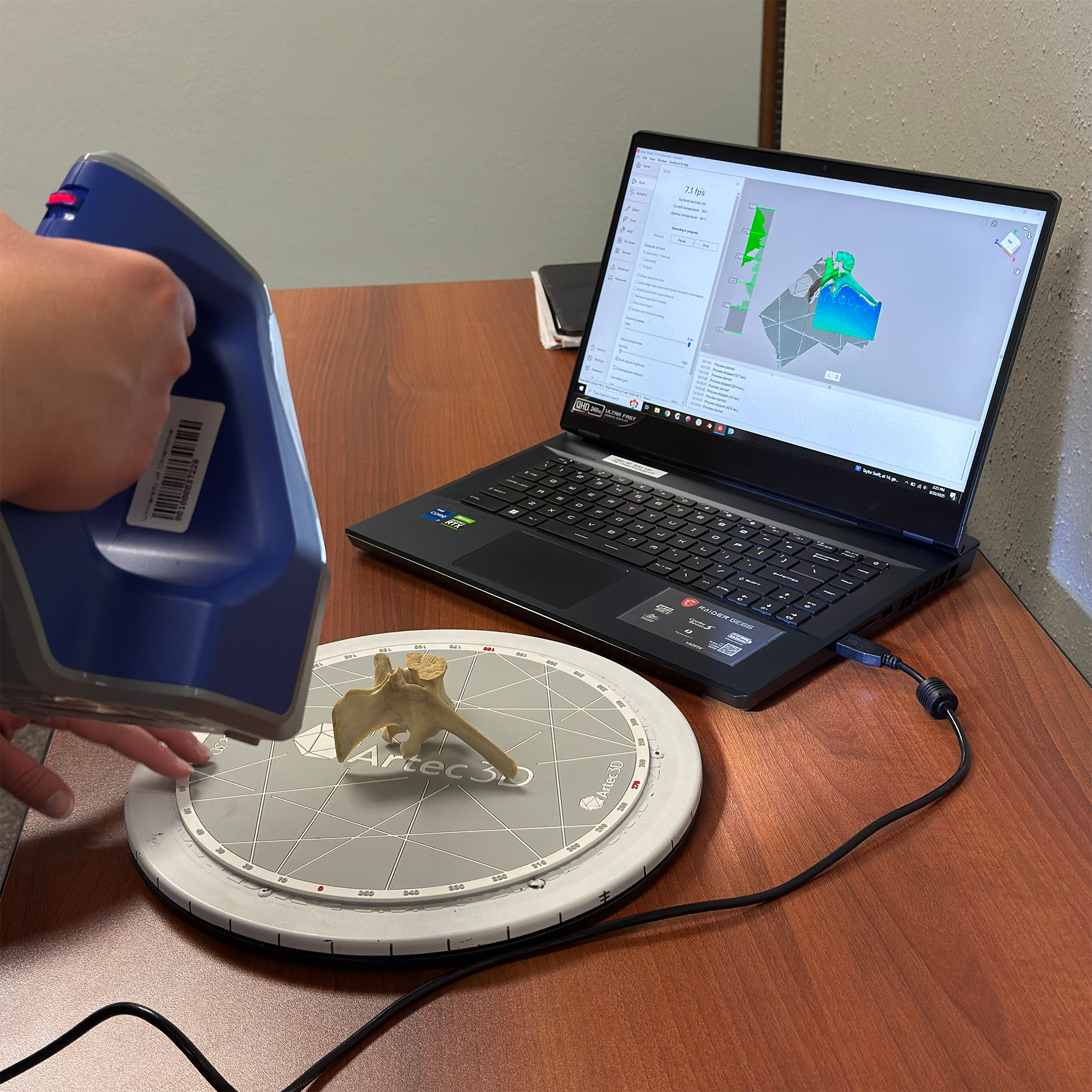 A hand holds a blue 3D scanner over a bone object on a rotating platform, with a laptop displaying a 3D rendering on a wooden table.