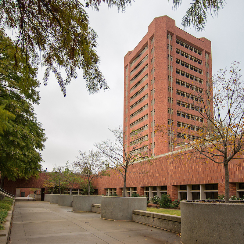 Tall brick building with vertical windows on a cloudy day; foreground features a pathway, sparse trees, and concrete planters, conveying a calm, academic setting.