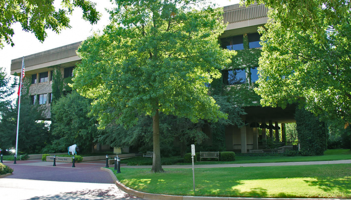 A modern library building surrounded by lush green trees and a well-maintained lawn. The sunny, tranquil setting evokes a serene atmosphere.